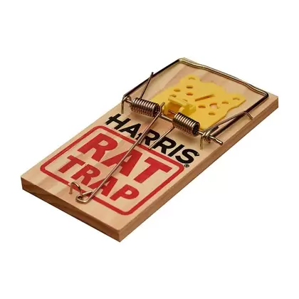 Harris 1pk Wooden Rat Trap Reusable