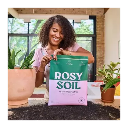 Rosy Soil 8qt Indoor Potting Mix 6/CS