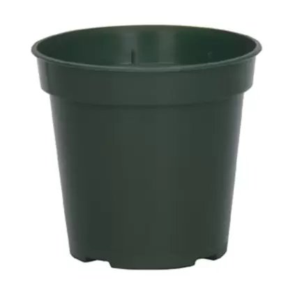 DLN 03.50 RND STD T/W TL 300GN 1225/CS 36CS/PL