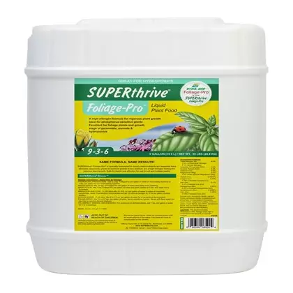 SUPERThrive 5gal Foliage-Pro 9-3-6 Plant Food