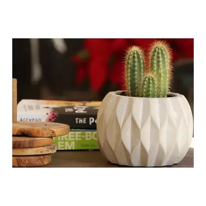 PHG 5.5"x3.5" Geometry Diamond Twirl Planter Polished Concrete
