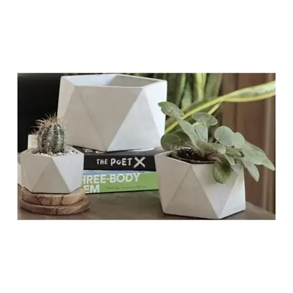 PHG 3.5"x2" Geometry Pentagon Planter Polished Concrete