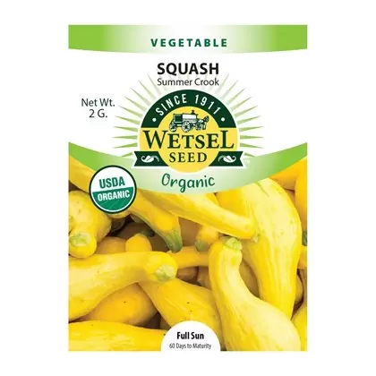 Organic Summer Crook Squash - 2 Gram