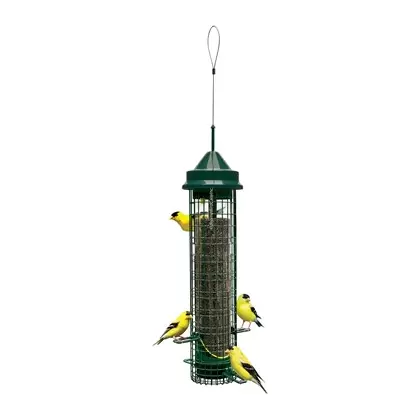 Brome Bird Care 5.3"x20.63" SquirrelBuster Finch Feeder
