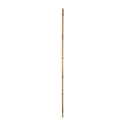 Gardener's Blue Ribbon Bulk 6'x1" Super Bamboo