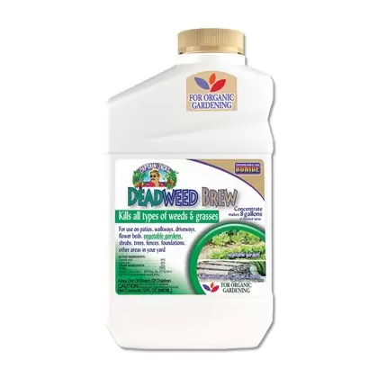 Captain Jacks Qt Deadweed Brew Concentrate