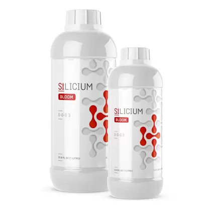 Silicium Bloom 250 ML