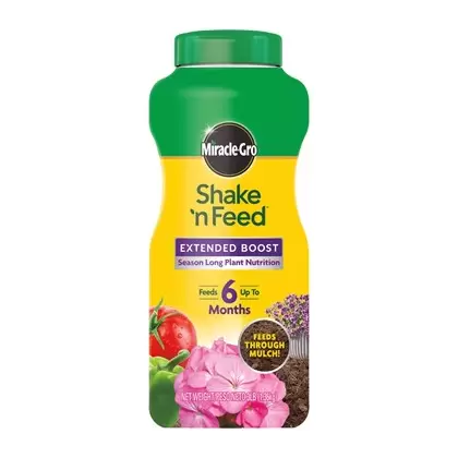 Miracle Gro 3