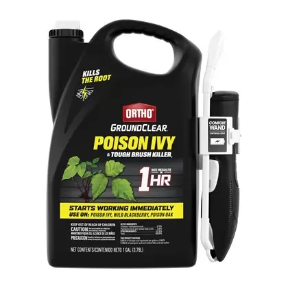Ortho 1gal GroundClear Brush Killer RTU Wand