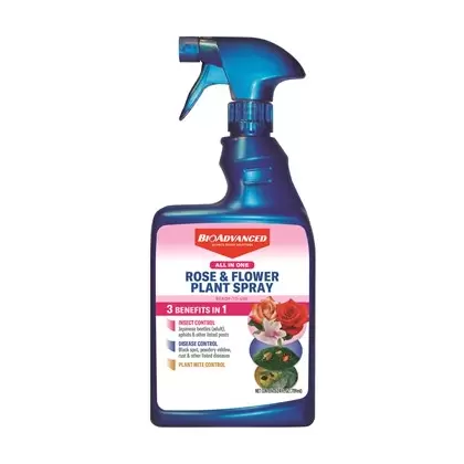 BioAdvanced 24oz All-In-One Non-Neonic Rose Flower RTU