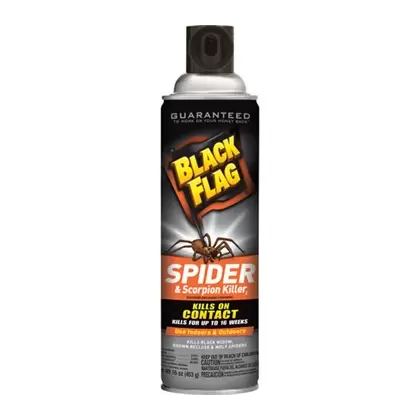 Black Flag 16oz Spider Scorpion Aerosol