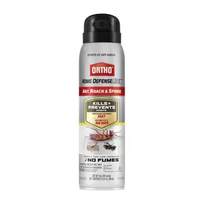Ortho 14oz Ant, Roach & Spider Aerosol