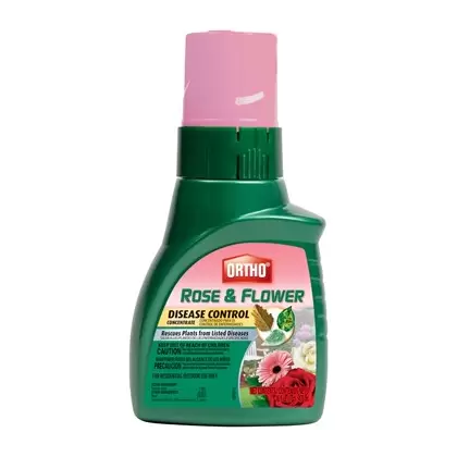 Ortho 16oz Rose & Flower Disease Con