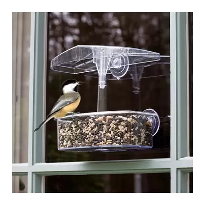 Droll Yankee 7"x3"x2" Observer Window Feeder