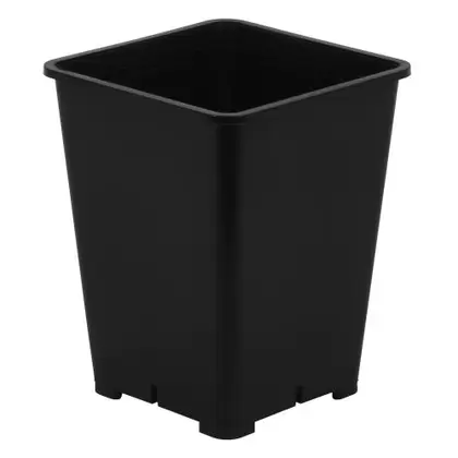 Gro Pro Premium Black Square Pot 6 in x 6 in x 8 in (100/Cs)