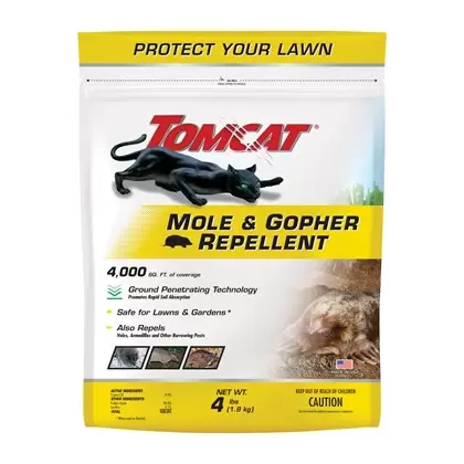 Tomcat 4