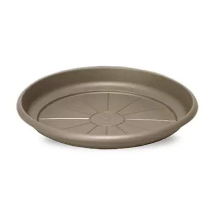 Crescent 22" Emma Saucer Cappuccino