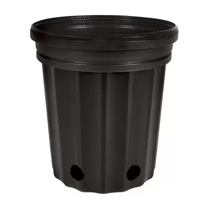 HC Dillen Elite 2000 Nursery Pot, Blow Molded, Trade 5 Gallon, Black, 46 per Bundle, 48 Bundles per Pallet, 11.87in x 11.00in, 3.90Gal
