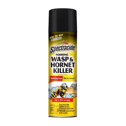 Spectracide 14oz Foaming Wasp & Hornet Killer