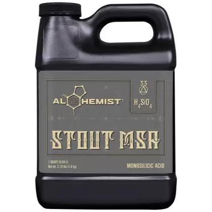 Alchemist Stout MSA Quart (12/Cs)