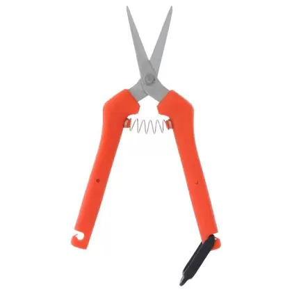 Chikamasa TP-500SR (6/cs)