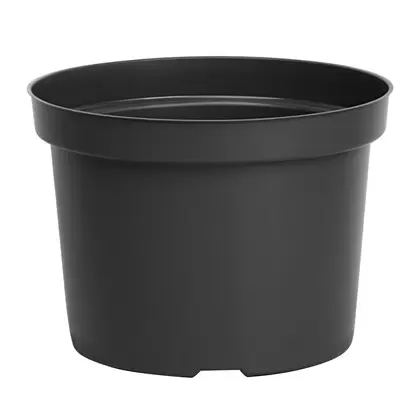DLN 09.00X06.50 MUMPAN T/W BLK 54/CS 60CS/PL