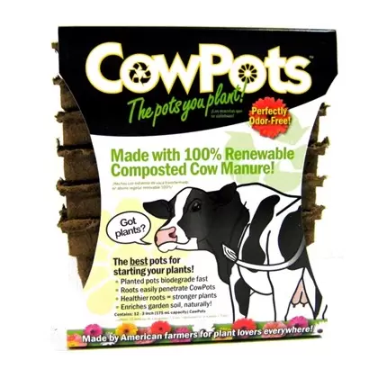 Summit Cow Pot