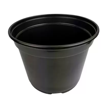 Grower Select 08.00 Coex MumPan Black 3.54qt 300/CS - 8in OD x 6.0in H