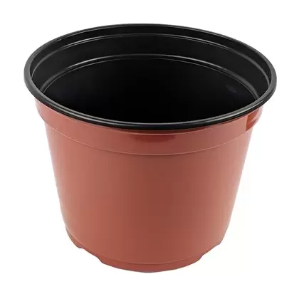 Grower Select 08.00 Coex MumPan Terra Cotta 3.54qt 300/CS - 8in OD x 6.0in H