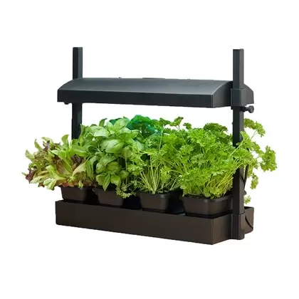 Growlight Garden Micro Black