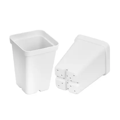 SunPack 2.5" Square Pot, White