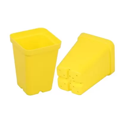 SunPack 2.5" Square Pot, Yellow