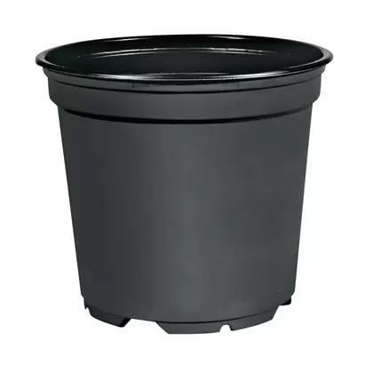 POPP VCC10F 04.00 STD BLK 2668/CS THERMO