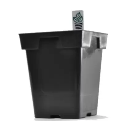 Belden Jumbo Sr Sq Pot 5.25" X 6.50" 13.33 cm Black 200/cs