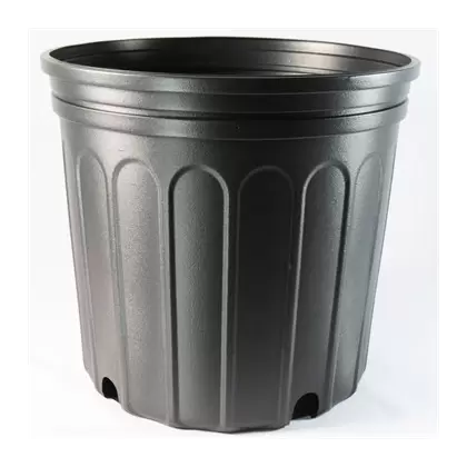 NS 1000CU CUSTOM, TRADE SIZE 10 FOLIAGE, 2.25 GALLON, BLACK 70/CS 36CS/TOWER (10-1/8"X9-1/8"), 2Gallon