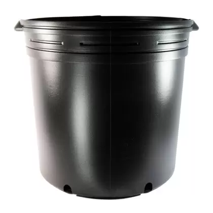 NS 4000BXL OLYMPIAN, TRADE SIZE 10 GALLON, 9.16 GALLON, BLACK 27/CS 16CS/TOWER (15-3/4"X15"), 10Gallon