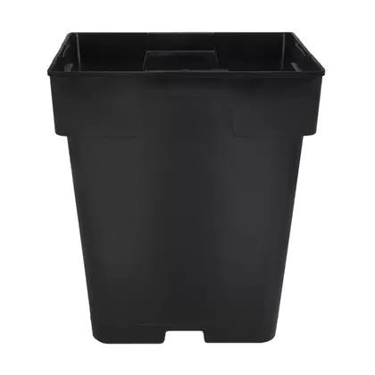 DLN 05.50 SQ JUMBO T/W TL BLK 288/CS 36CS/PL