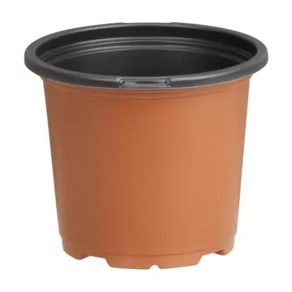 DLN 04.50 RND GER COEX TC/BLK 720/CS 40CS/PL