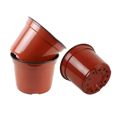 Grower Select 06.00 Coex Azalea Round Pot Terra Cotta 660/CS