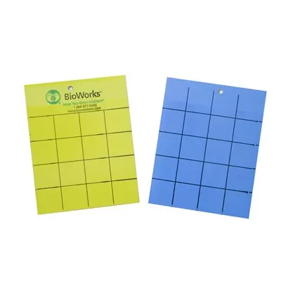 BioWorks Sticky Cards Yellow & Blue 100/bx 4 x 5