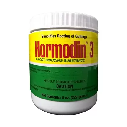 OHP Hormodin