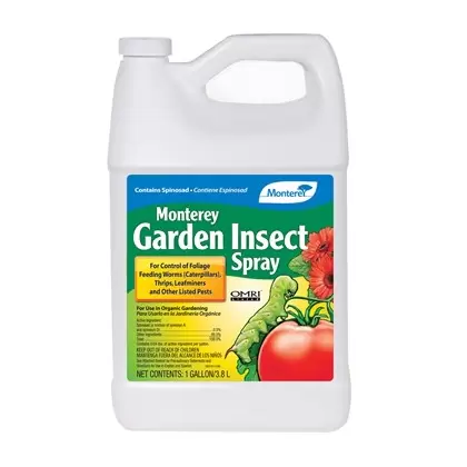 Monterey Gal Garden Insect Spray