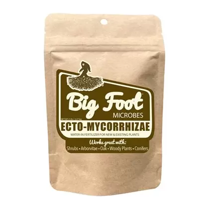 Big Foot 5