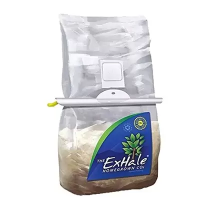 ExHale Co2 6x9x8 Brown/White Media