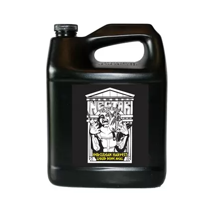 Nectar for the Gods Gallon Herculean Harvest