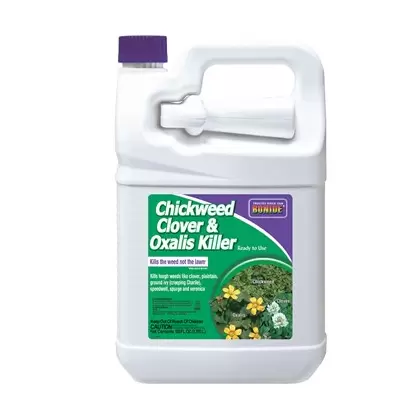 Bonide 1gal RTU Chickweed Clover & Oxalis Killer
