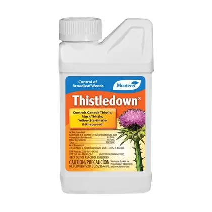 Monterey .5pt Thistledown