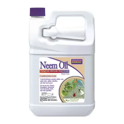 Bonide Gal Neem Oil RTU