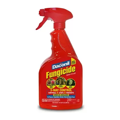 GardenTech 32oz Daconil Fungicide Ready to Use