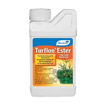 Monterey 8oz Turflon Ester